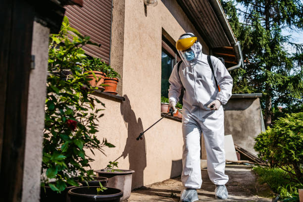 Best Termite Control Services  in , KS