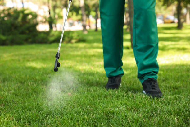 Best Ant Control Services  in , KS
