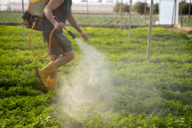 Best Exterminator Services  in , KS