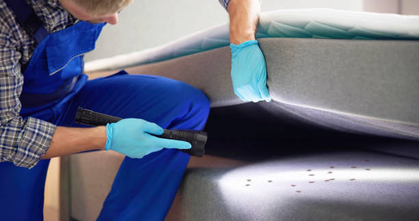 Best Local Pest Control Services  in , KS