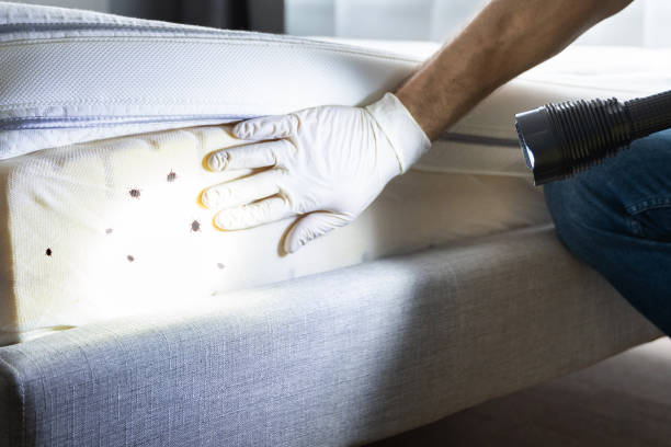 Best Affordable Pest Control Services  in , KS