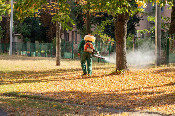 Best Emergency Pest Control  in , KS