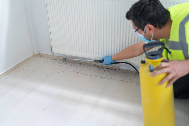 Best Pest Control for Restaurants  in , KS