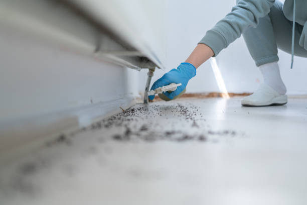 Best Pest Removal Services  in , KS