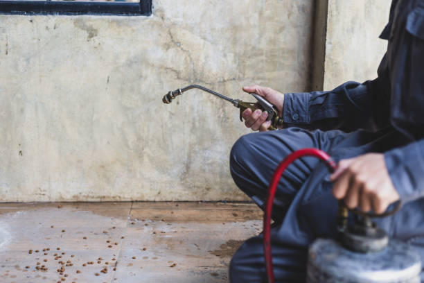 Best Pest Control for Restaurants  in , KS