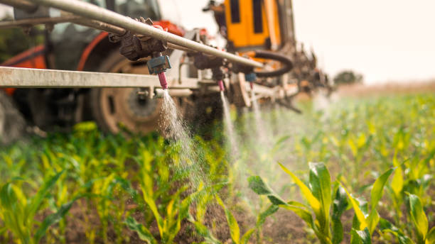 Best Pest Prevention Services  in , KS